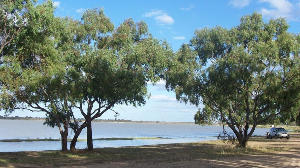 Greens Lake and Lake Cooper